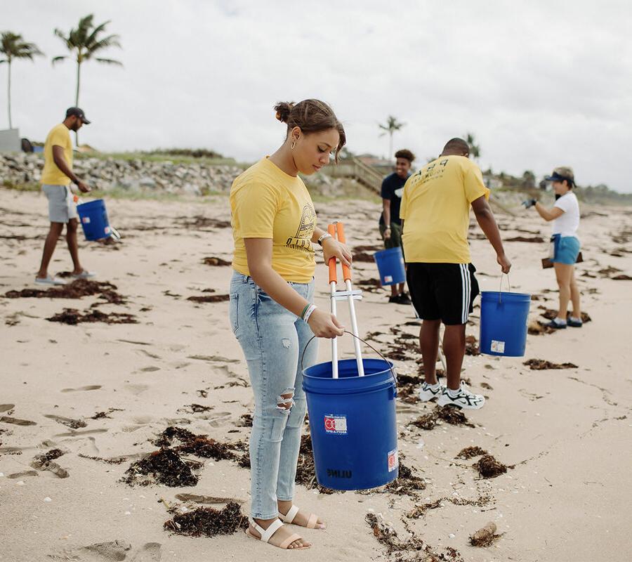 students studying Botany Environmental Science and Field Biology by collecting trash on the beach